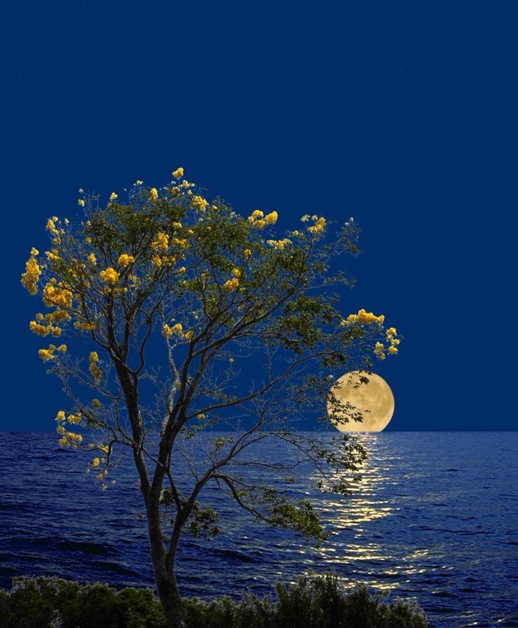 La vida es un desafío constante,
un esperar y ver llegar,
un final y volver a empezar,
tener miedos y agarrar coraje,
amar x sobre todo..