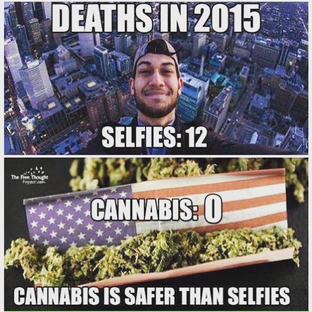 Mikethestoner_1's tweet photo. WOW! TELL ME AGAIN HOW WEED IS DANGEROUS! WAKE UP #AMERICA #LEGALIZE NOW! #RETWEET @JonnyRotten1714 @ERIIC419 @Toastington @gotnorestraints https://t.co/275CVyWSki