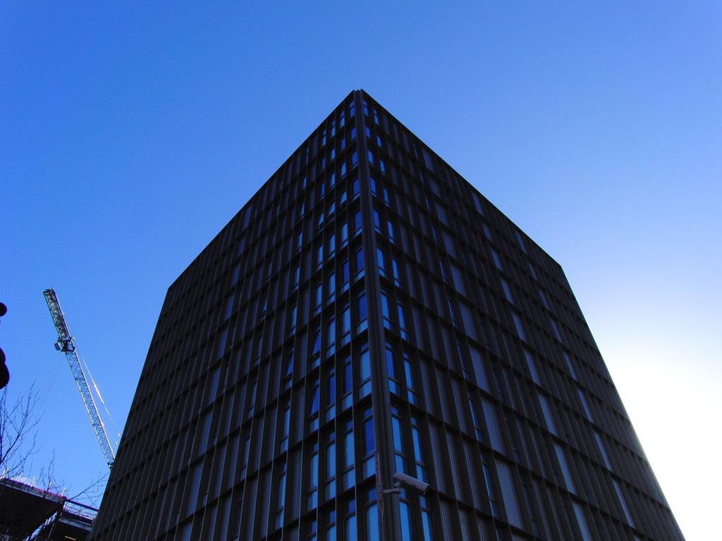 glasgow_pict's tweet image. From the @buglesocial video