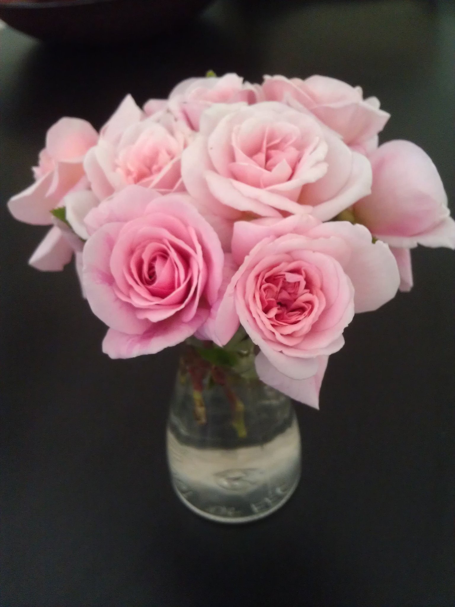  happy birthday wonderful Gates!  God bless you!  Mini roses for you! 