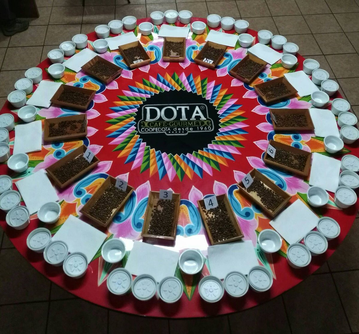 En la catación se válida el trabajo realizado a lo largo del año, desde la finca hasta el beneficiado. #calidadcoopedota