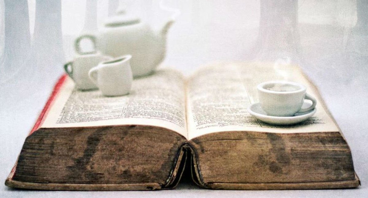 orhan kemal koçak (@orhankemalkocak) on Twitter photo 