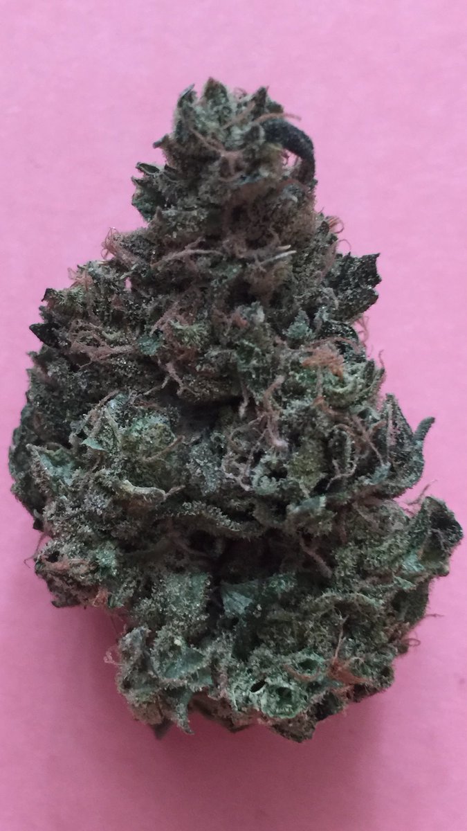ukpcc1's tweet photo. #bluecheese unbelievable taste and aroma, wohhhhhhhh....well done on this one
#lemonhaze #rhubarbncustard and last #ogcheese https://t.co/G3TWk6JxvS