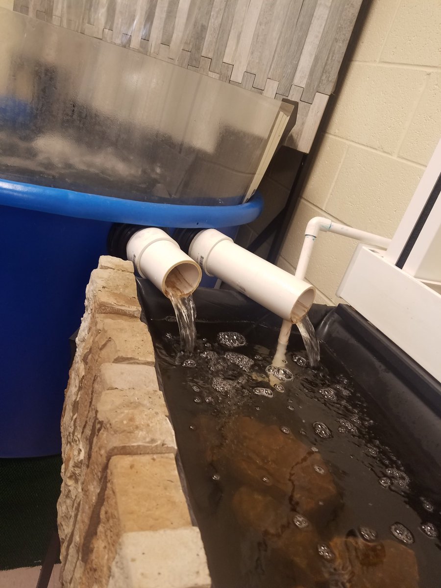SeeverM's tweet photo. Had a great time learning about the river eve's aquaponics lab. So many great STEM lessons to plan...@RiverEves @LizzieFragale https://t.co/LX22BaN9yi