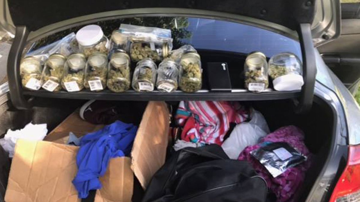 "Not yet legal" @HollywoodFLPD sends message after drug bust bit.ly/2ljLp63 https://t.co/ho1WzXJFIN