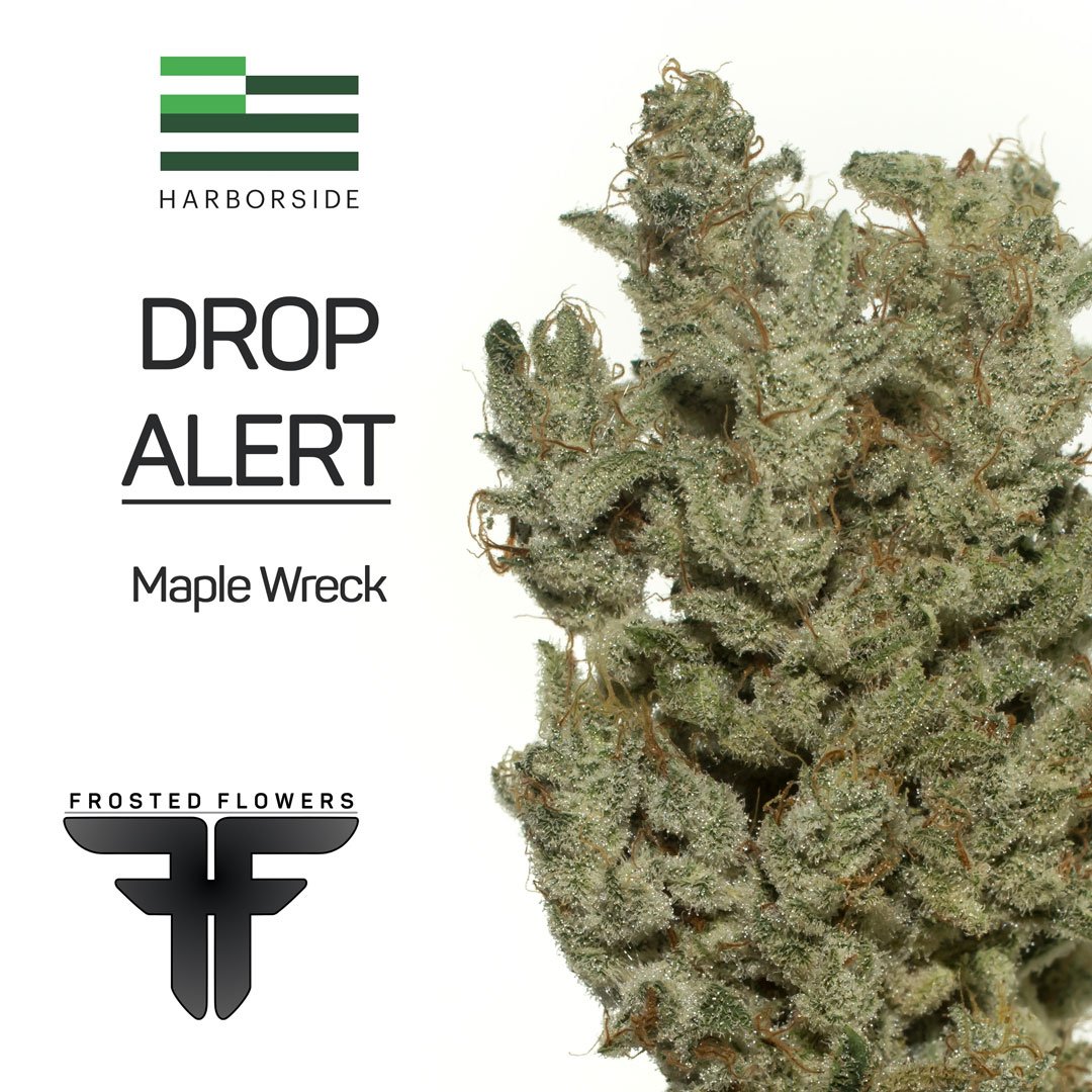 frosted_flowers's tweet photo. Harborside #Oakland currently offering deliciousπ #MapleWreck you won't want to miss.
#FrostedFlowers #BayArea #NorCal #CaliforniaCannabis https://t.co/pToO2BwNZi