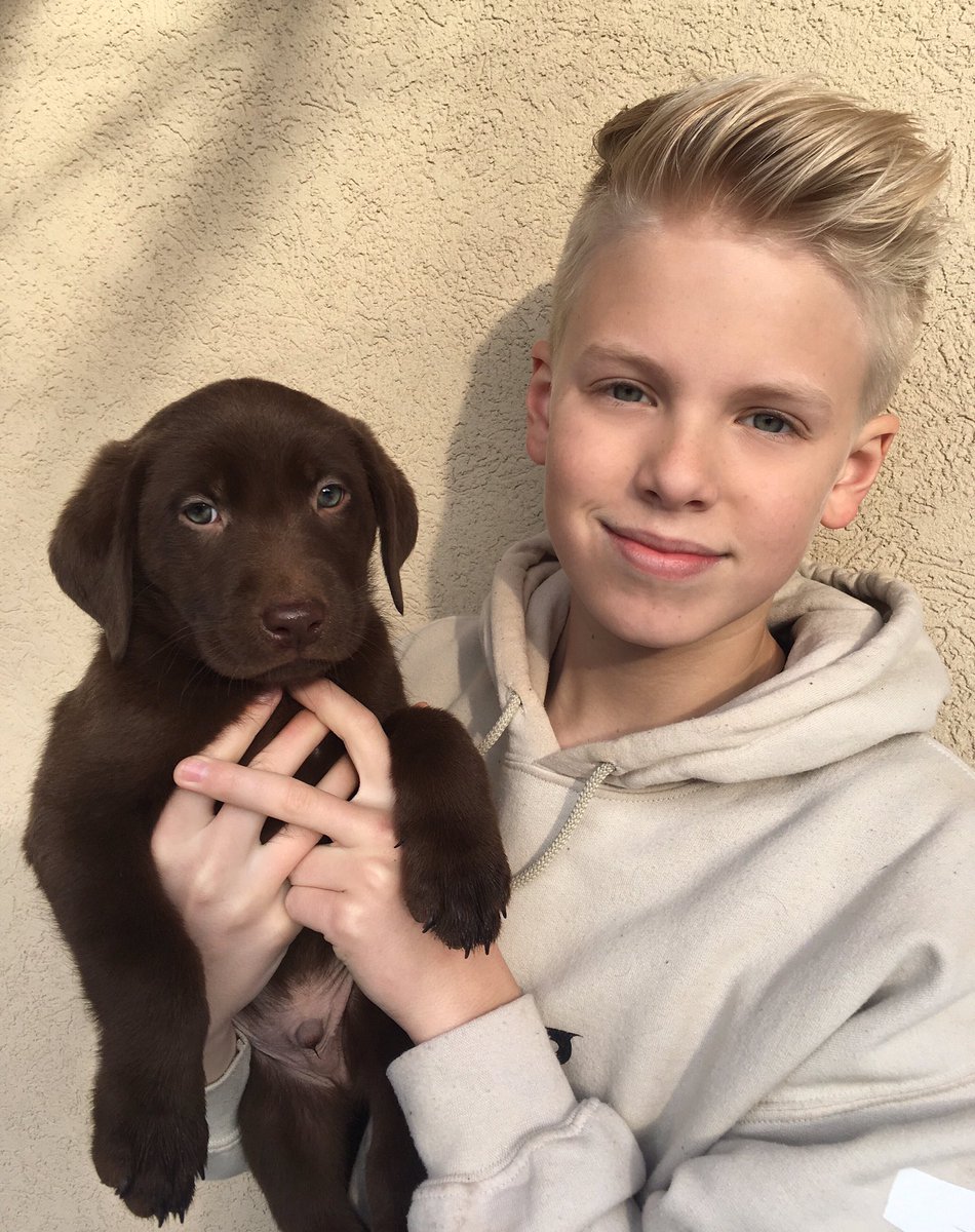 carsonlueders's tweet photo. It's time for the puppies to go to their new homes. Sure going to miss this one! 💛 https://t.co/UCnQC9WeXI