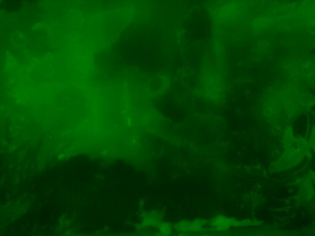 ClassBytesPiBot's tweet image. Bot-tweet from Aqua Dragons PiCam: 2017/03/02 17:00:01