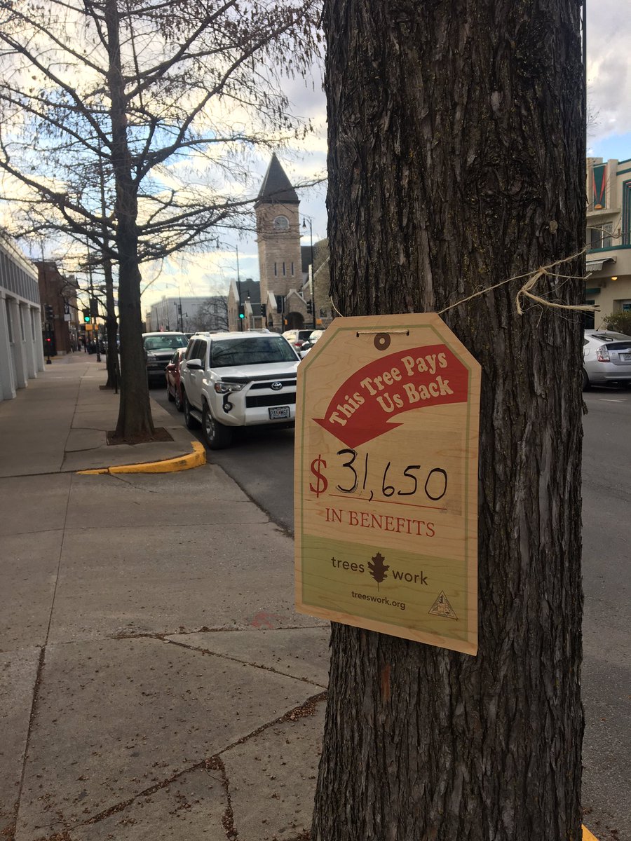 treesrtheanswr's tweet photo. Putting out some tree propaganda for #truefalse #truefalsefest #treesaretheanswer #trees https://t.co/dr9Nxuagtk