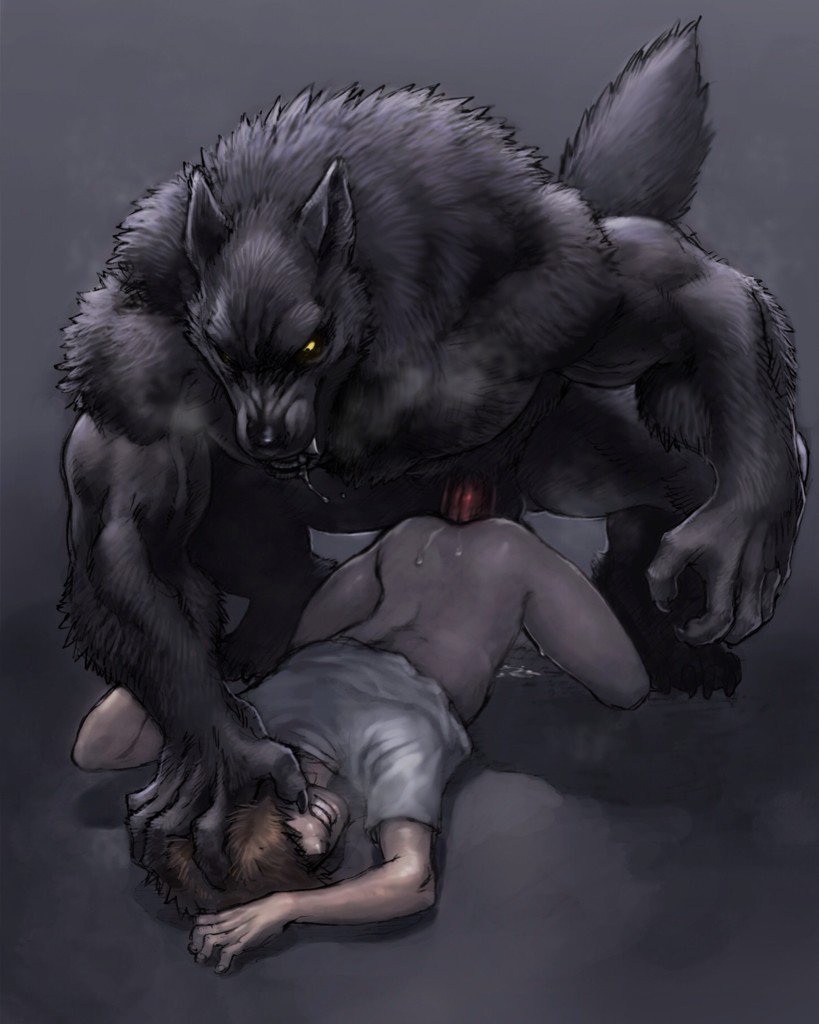 14 werewolves : tumblr