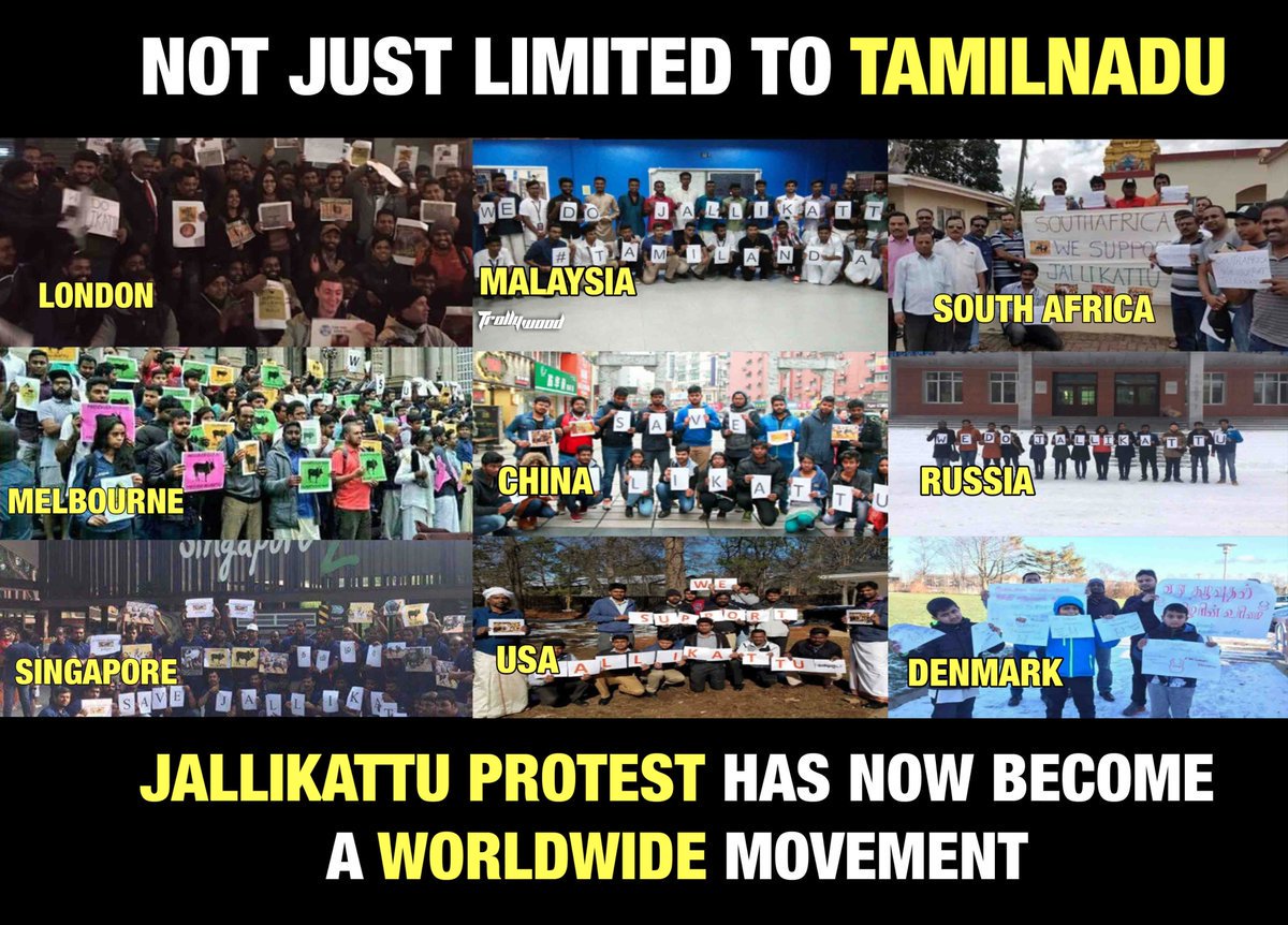 geoffrin_edwin's tweet photo. @kkssr @Swamy39 see. Tamilians supported jallikattu. not one or two, the entire state. he called those who support it as porkis.given his tweet b4. wat else https://t.co/DS5oLRJoV1
