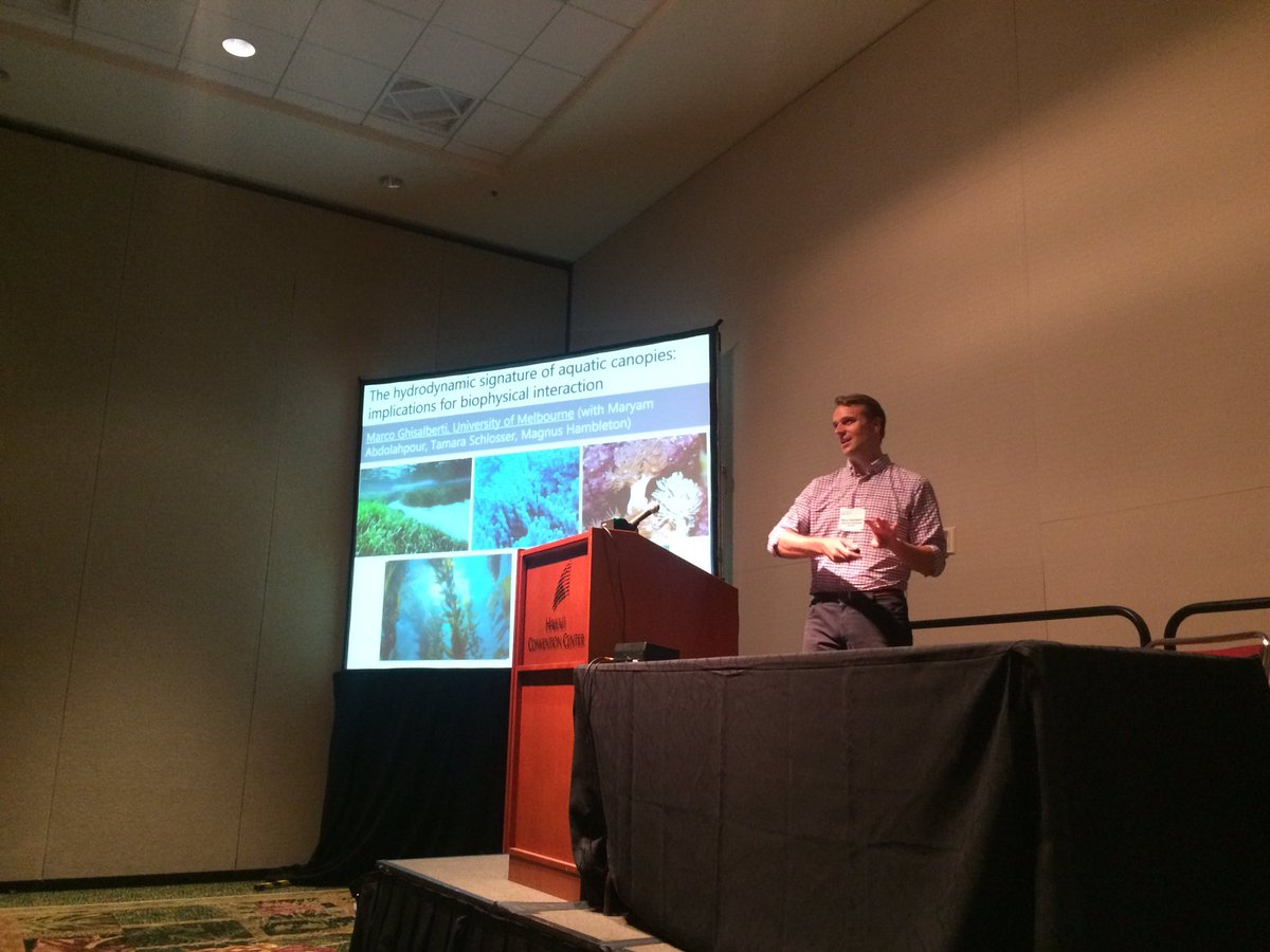 juliaesamson's tweet photo. Kicking off the session on aquatic #canopies at #ASLOMtg #aslo2017 https://t.co/DkjNlvsiI3