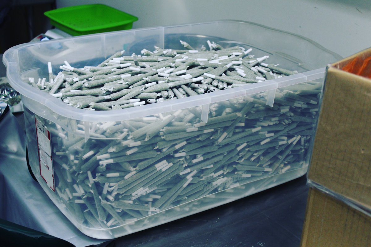 LeefOil's tweet photo. We've got joints going out daily by the pounds. #thankspackaging #LeefOil #b2bsalesandprocessing #i502producerprocessor #notrimprerolls https://t.co/RaVA9khayP