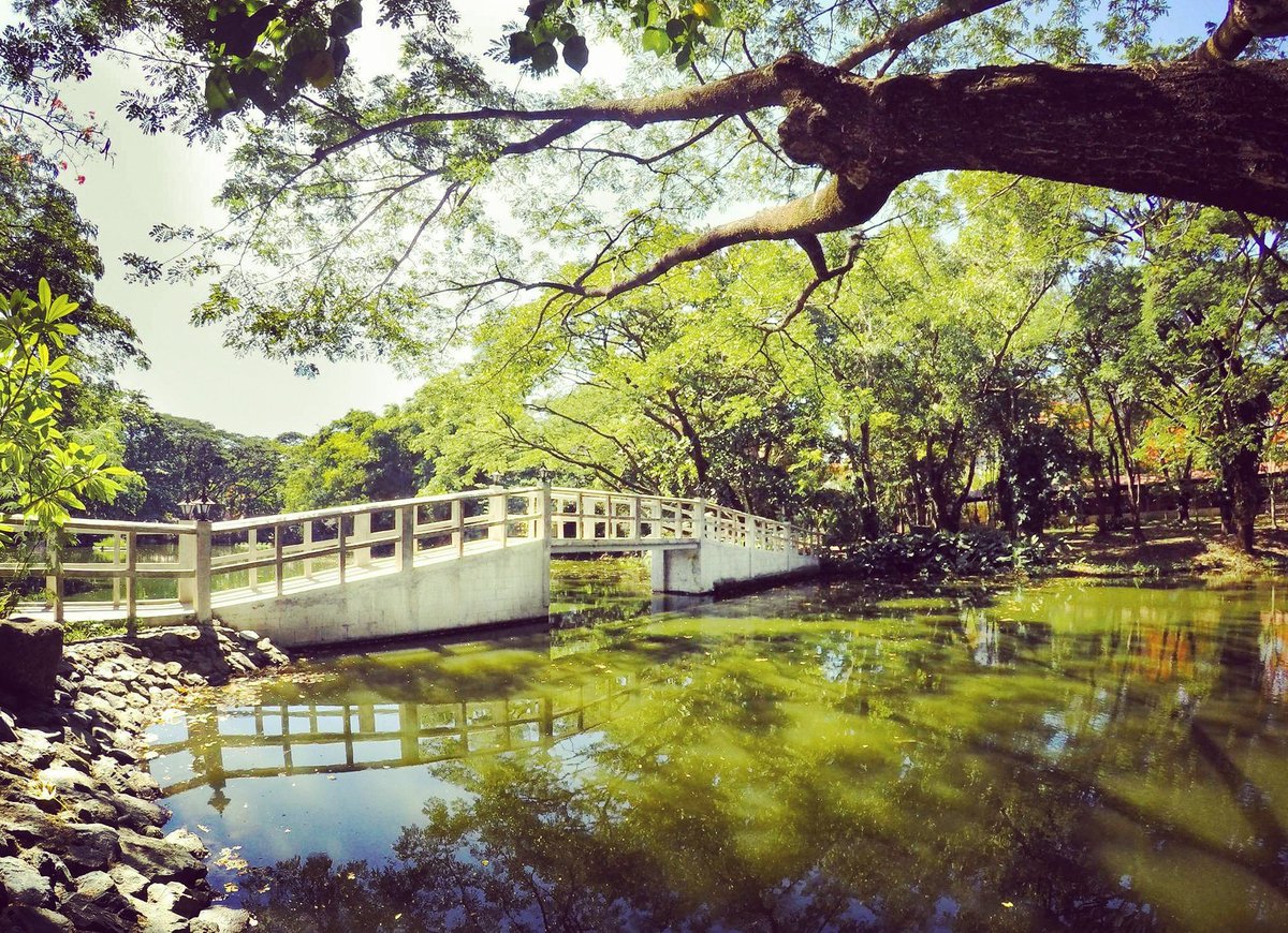 DLSUD's tweet photo. Each day renew your offering to God." (Letter 32- to Brother Gabriel Droline from St.Yon, 5 December 1716)#lasallianquotes  #dlsudlive2017 https://t.co/7po3eg05J4