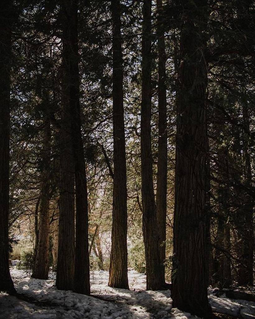 Out and about
Photo by: @brocoffphotography
To be featured on our page #letscolab ift.tt/2ljZAIw