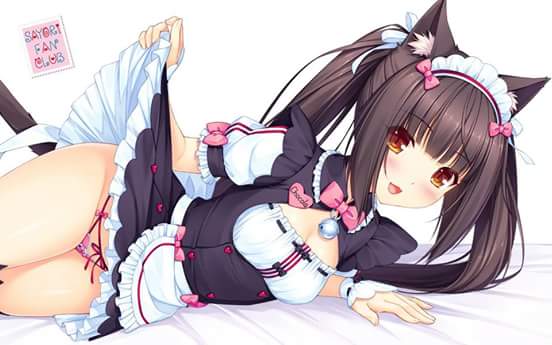 ♥CHOCOLA, LA NEKO MAS DULCE♥ 
♥DARÉ TODO MI AMOR GATUNO♥
♥#SR, #FR♥
♥#BI♥
♥SUMISA♥
♥NO TODOS FETICHES♥
♥ESPERO CAERLES BIEN, NYA~♥
♥RT?♥