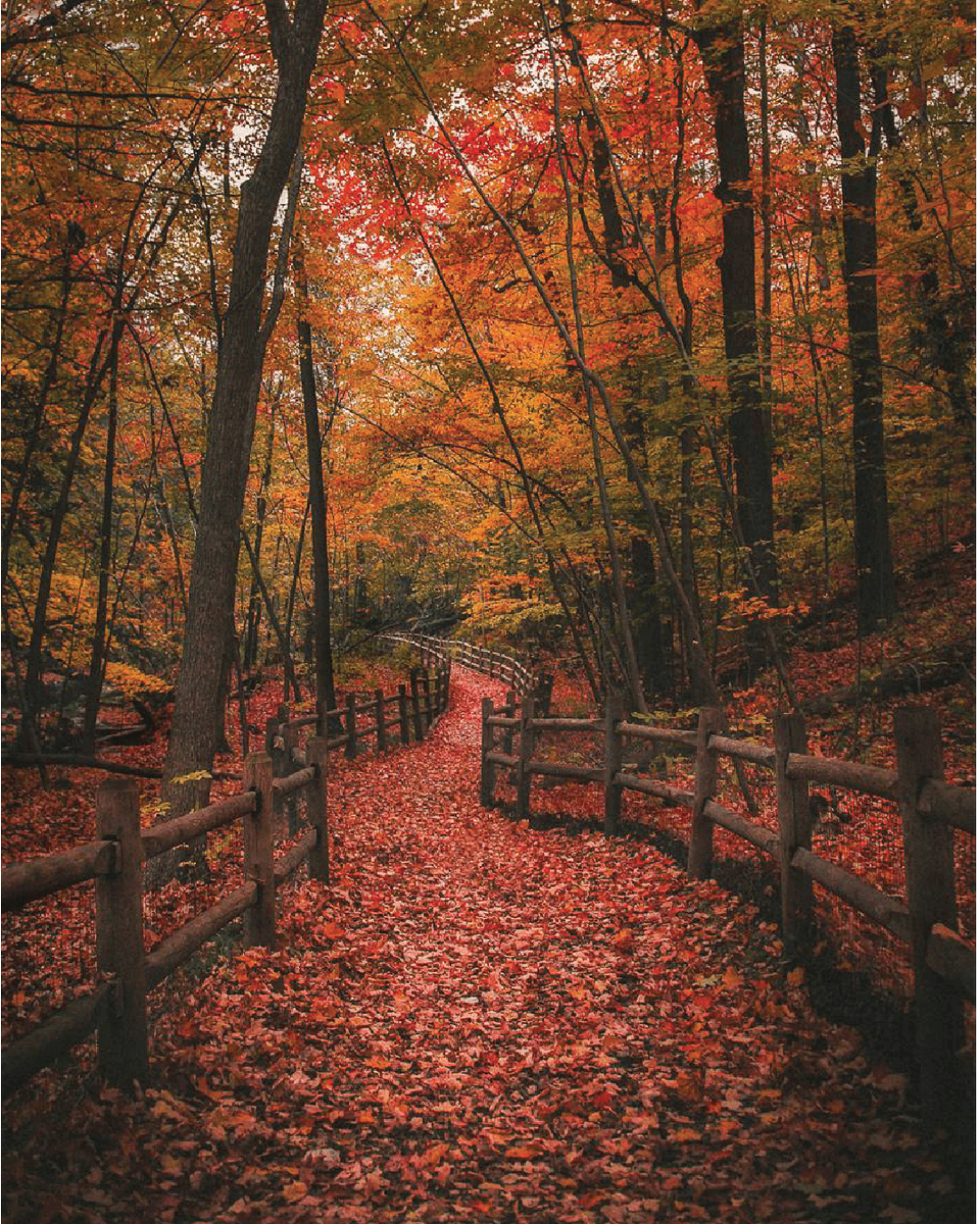 _LoveTraveling_'s tweet photo. Autumn 🍁🍂 https://t.co/2b5ROLsmKQ