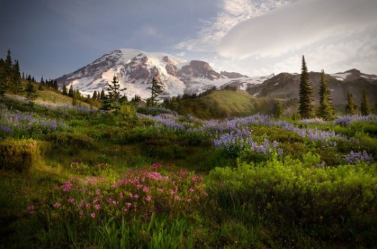 NormGregory's tweet photo. Happy birthday! Mount Rainier National Park turns 118 https://t.co/zP3wzfmwWT https://t.co/EXOyjeeHaU