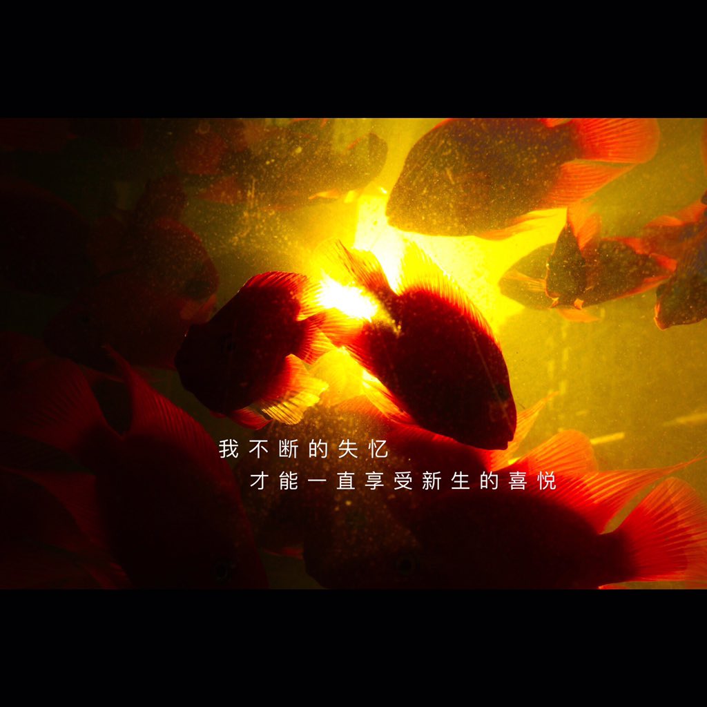 MrCupidH's tweet photo. https://t.co/Xmw6PGyhZS