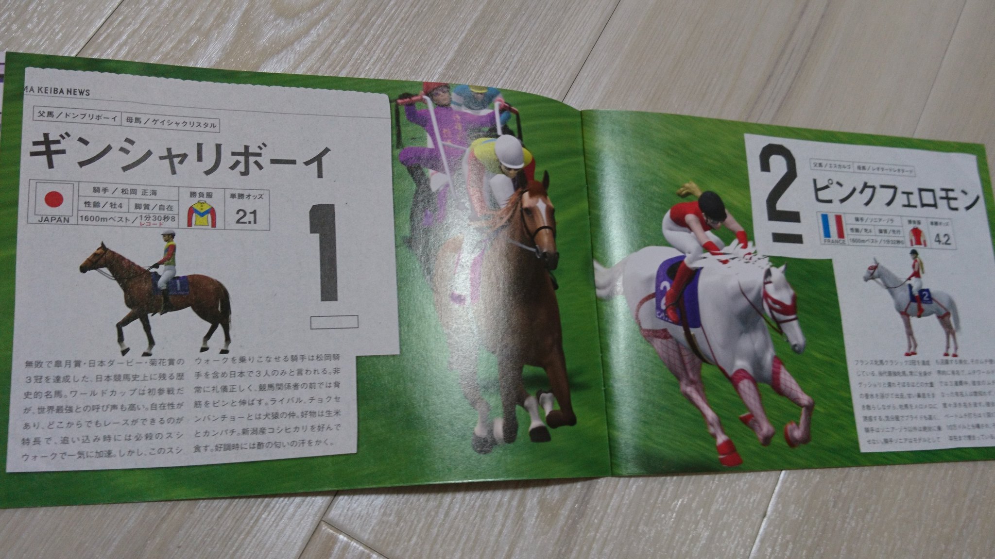 トサミドリ こんなんあったな 松岡正海 ギンシャリボーイ スシウォーク 東京競馬場 ジャパンワールドカップ トサミドリ こんなんあったな 松岡正海 ギンシャリボーイ スシウォーク 東京競馬場 ジャパンワールドカップ