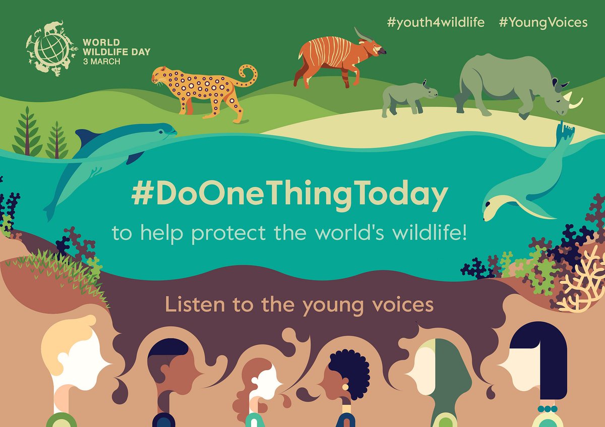Happy #WorldWildlifeDay! Small actions can have big impacts! #DoOneThingToday that helps #wildlife conservation #youth4wildlife