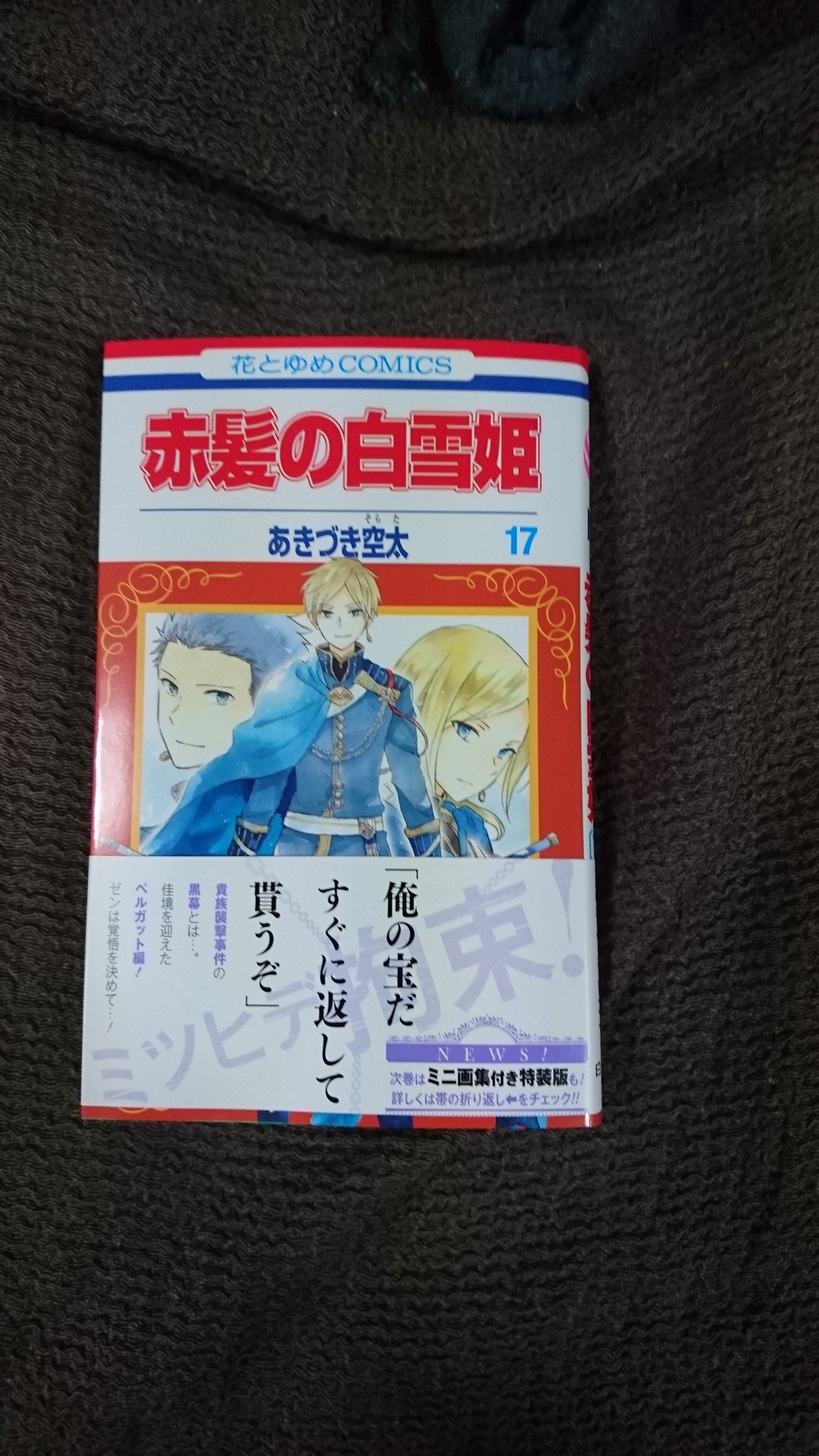 ゆーうつ 赤髪の白雪姫17巻発売です さっそく買ってきました 前巻を読み直してからゆっくり読みたいと思います 次巻はミニ画集付きらしいので楽しみです ちなみに この画像は以前作った スマホ壁紙用加工画像です 自分 ゆーうつ 赤髪の白雪姫17巻発売です さっそく買ってきました 前巻を読み直してからゆっくり読みたいと思います 次巻はミニ画集付きらしいので楽しみです ちなみに この画像は以前作った スマホ壁紙用加工画像です 自分