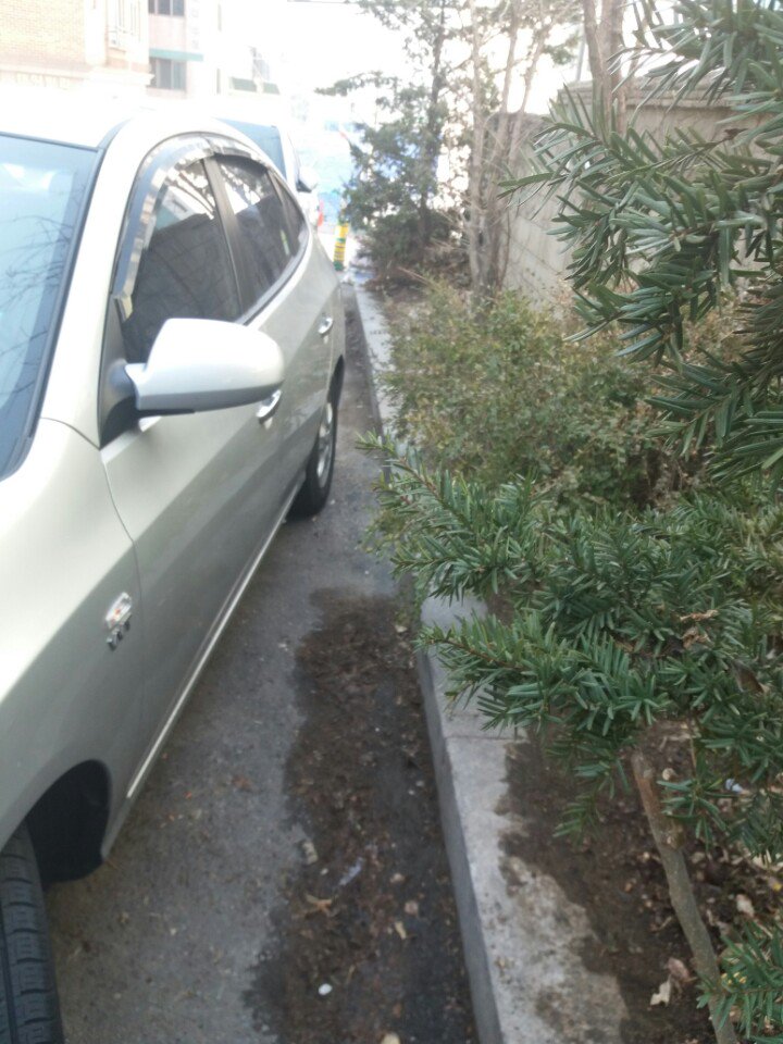 금광1동 개학시기 맞이하여 금상초등학교 둘레 및 단남초등학교 둘레길 환경정비 진행하였습니다. 단남초는 환경정비할 구역이 커서 다음주까지 계속 진행할 예정입니다. 얼마나 깨끗해졌는지 사진으로 확인하세요~ 
#성남시