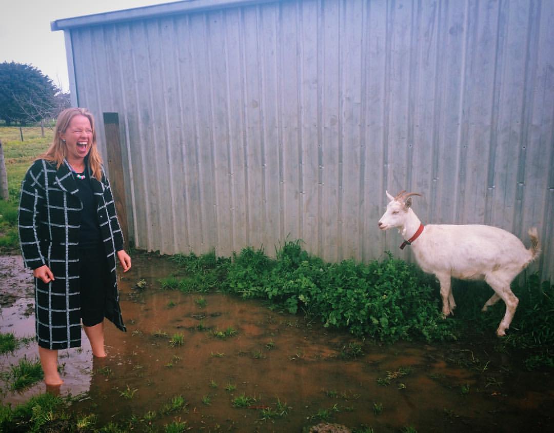 ZiggyTribune's tweet photo. BREAKING! GOAT'S GONE WILD! Minister rounded up outside disused shed  https://t.co/FVHoyuVqtG #OUDI17 https://t.co/d1ddrKwbwX