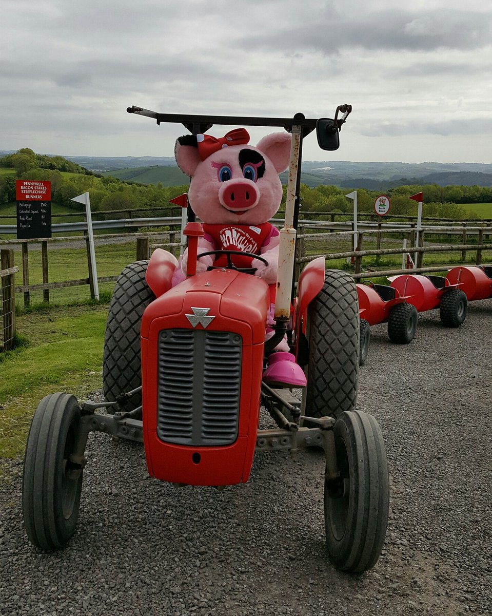 Last chance for a breath of fresh farm air today before they're back at school. Join us from 10am