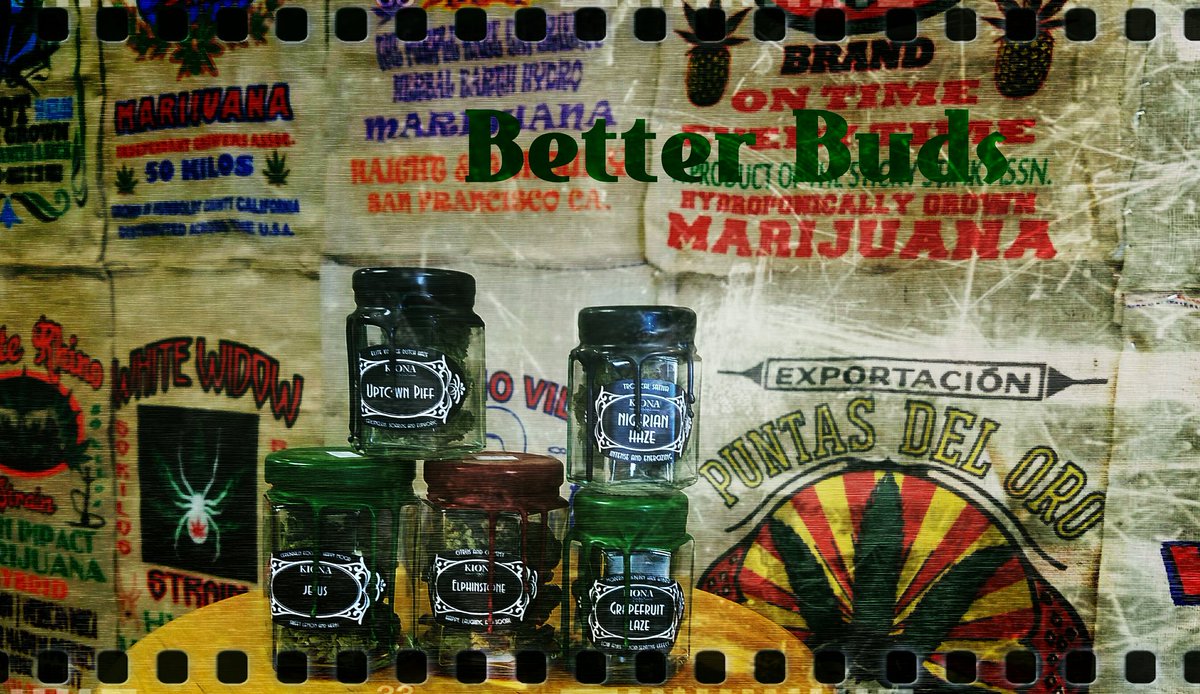 better_buds's tweet photo. You can find these rare strains from @kionathc right here @better_buds 👀look no further! #loveweed #betterbuds #landrace #culturedcannabis https://t.co/gdmy5PRs3P