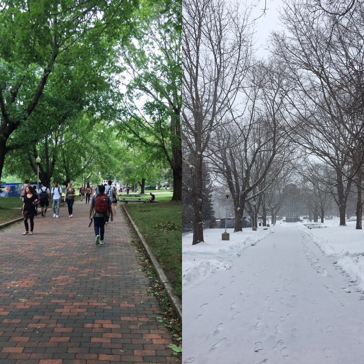 ATwerko's tweet image. same path, 6 months apart. @universityofri you are beautiful all year round💕😊
