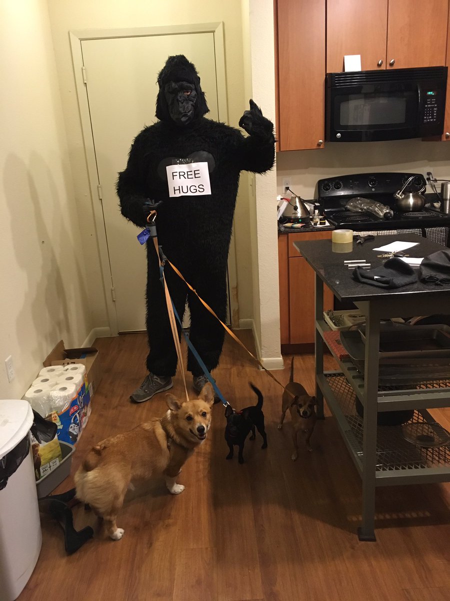 RingThatBeall's tweet photo. Gorilla Grodd wants to drink! But first I must take out the dogs! #RingThatGrodd https://t.co/cmGULc2tWd