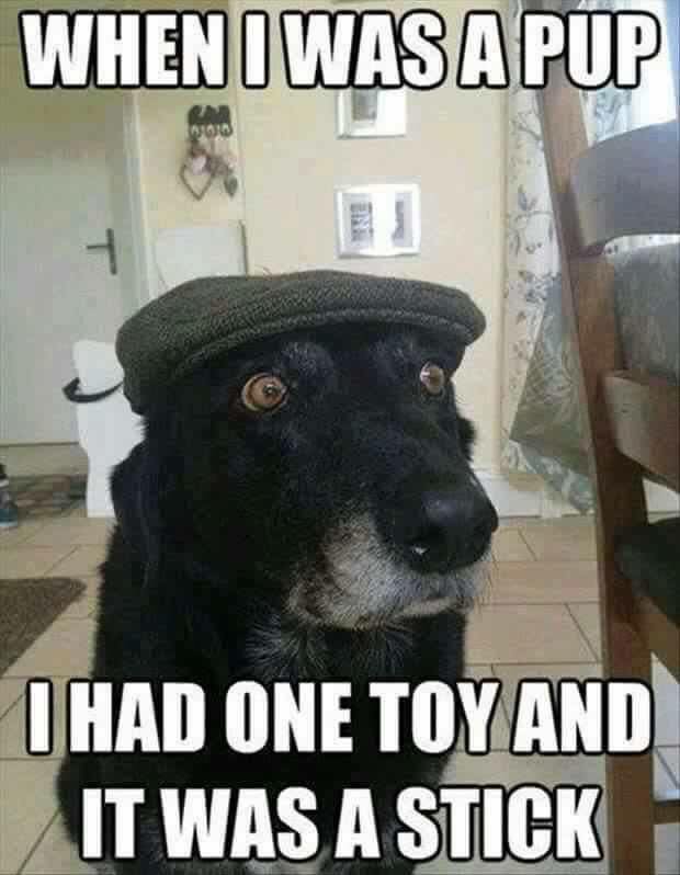 BoorerJohn's tweet photo. #oldblokesrule #theoldbloke #old #olddogsrule #olddog #dog #pup #backintheday #yesteryear https://t.co/j3tie7cH1H