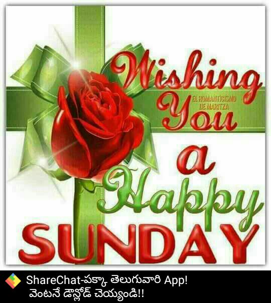 Latest Share Chat Good Morning Sunday Images Hd Greetings Images