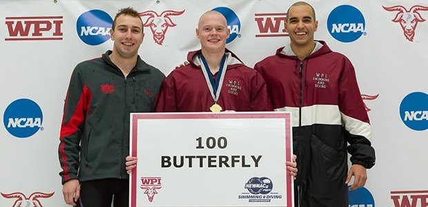 WPI Swim Dive tweet media