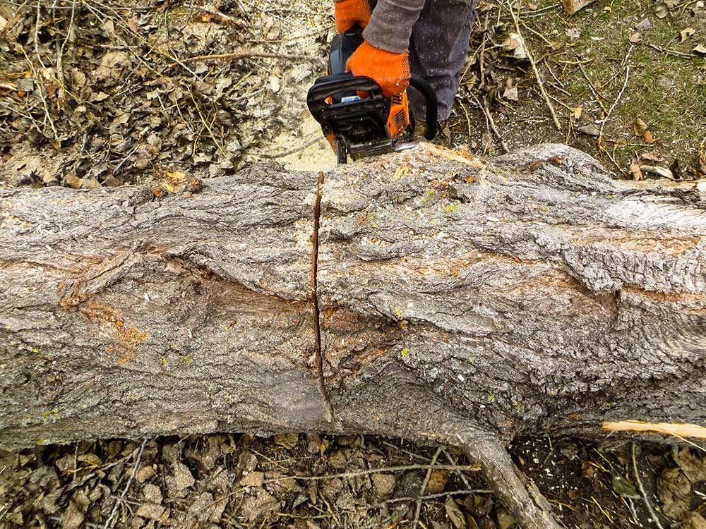 We now offer a professional tree surgery and chipper hire service.