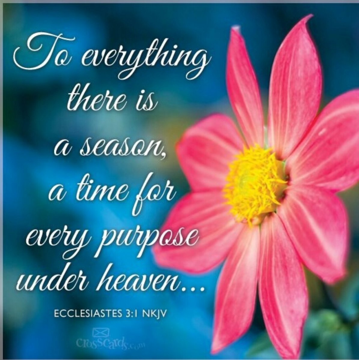 cindytrimm's tweet photo. Ur pain, problems, debt &amp; disease have an expiration date! I decree breakthrough is on the way! Ecclesiastical 3:1-2 https://t.co/8bvYPyStBz