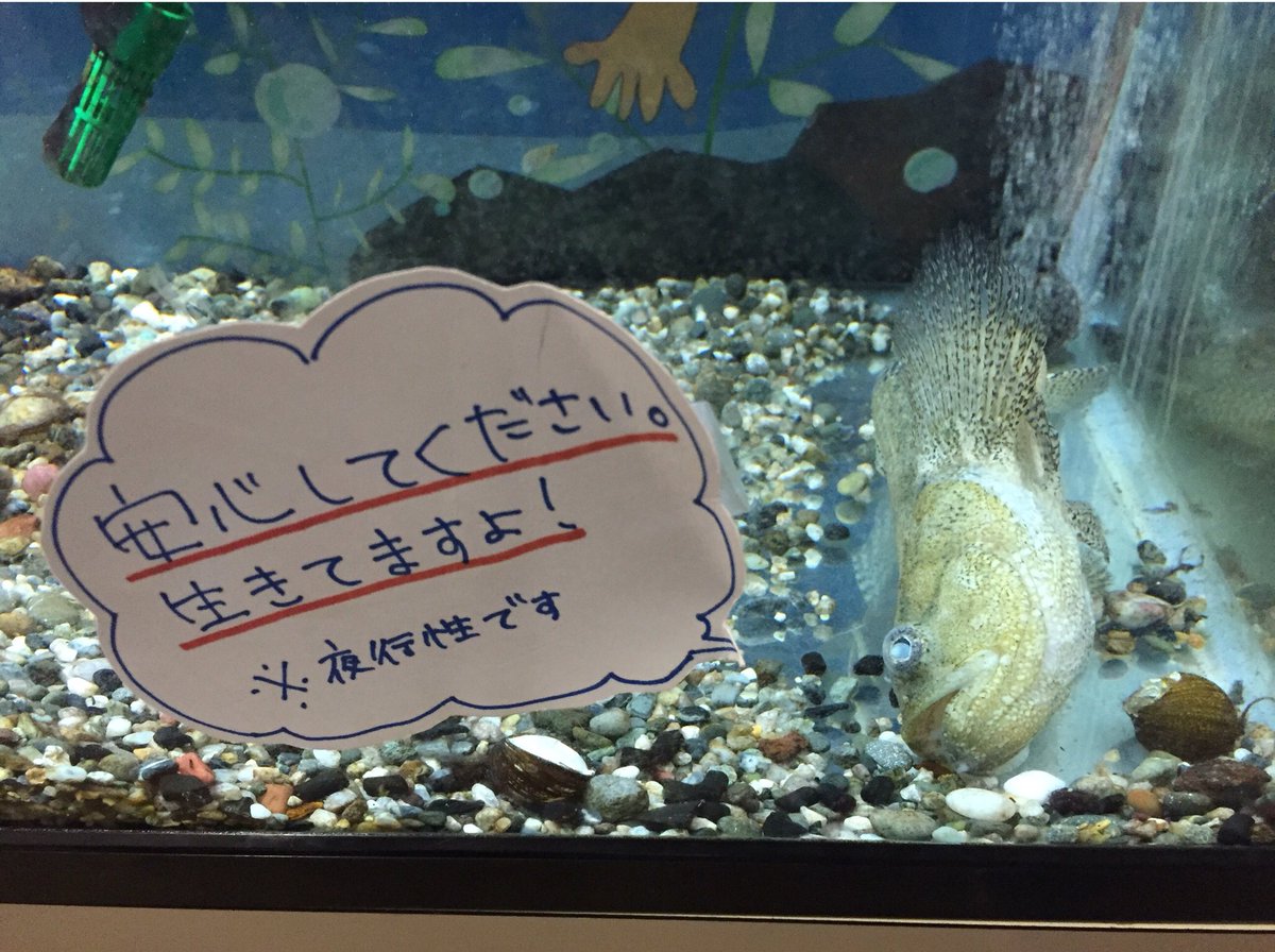 pf34lj_8823's tweet photo. まじかよ https://t.co/YImn9VDBqE