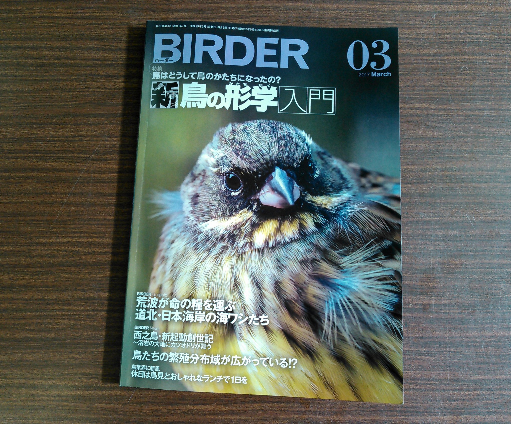 小鳥 Birderに記事を2本書きました 剥製の作り方 剥製を作る人ってどんな人 といった内容です 興味ある方はぜひ読んでみてください 小鳥 Birderに記事を2本書きました 剥製の作り方 剥製を作る人ってどんな人 といった内容です 興味ある方はぜひ読んでみてください