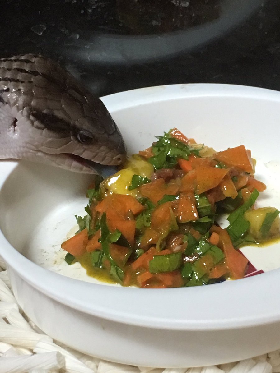 ある リザードフードも食べない 野菜も食べない コオロギもたまに食べない時があるそんなアオジタトカゲのはるまきちゃん 今日はるちゃん専用にご飯作ったら食べてくれた 細かく切った人参 大根の葉 バナナを混ぜてから更に指で細かくすり潰した