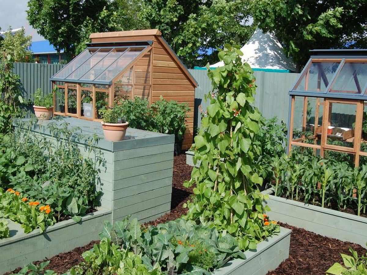 #allotment #inspiration #kitchengarden