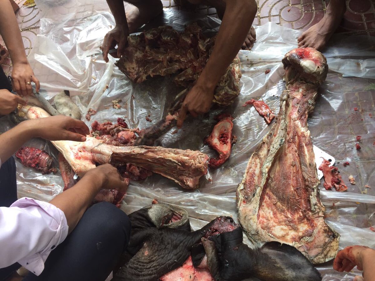 Environment Ministry tweet media