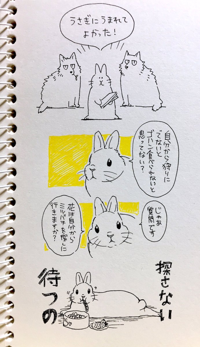 うさぎを可愛いと思っている人はどれぐらいいる ｗブルゾンうさぎが面白いと話題になっている 話題の画像プラス