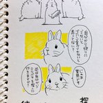 うさぎを可愛いと思っている人はどれぐらいいる？ｗブルゾンうさぎが面白いと話題になっている!