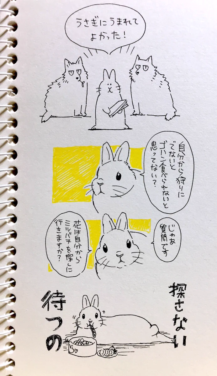 うさぎを可愛いと思っている人はどれぐらいいる？ｗブルゾンうさぎが面白いと話題になっている！