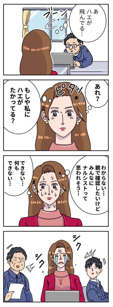 美容垢とハエ 