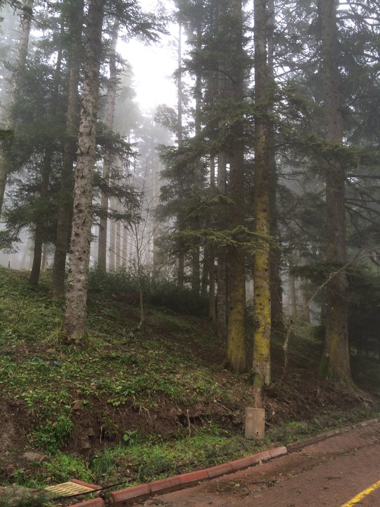 A.köse.P (@siyap1) on Twitter photo 