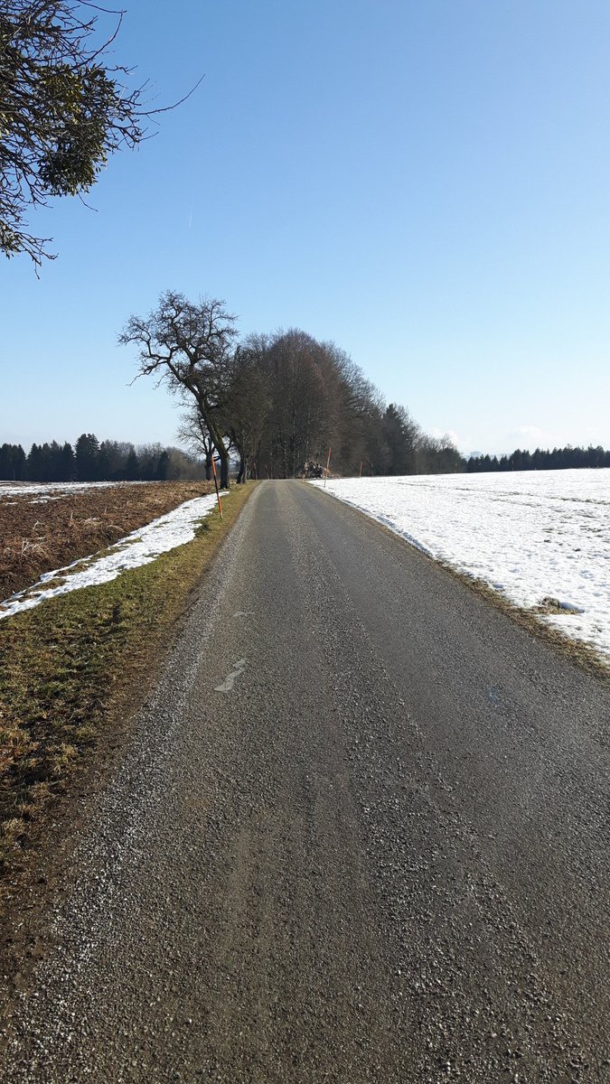 Its incredible! Such a Bright daylight during my #longrun , After this cloudy dark weather.