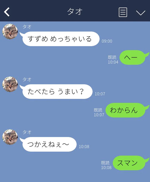 外出しているときに猫とLINEしたらこんな感じかもｗｗｗ