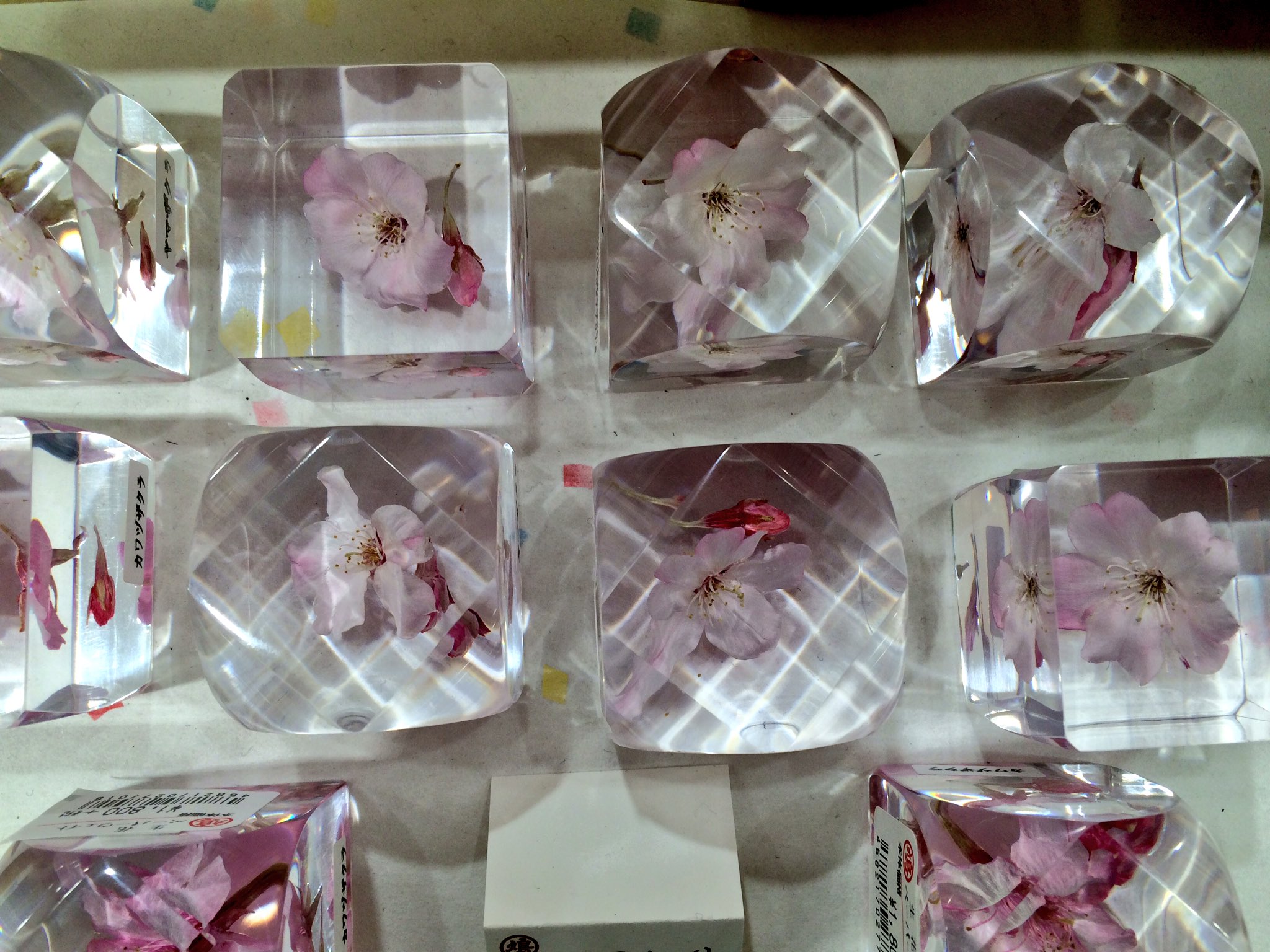 生花のペーパーウェイト Twitter
